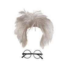 Old Man Wig Dressing up Old Teacher Wig Role Play Physicist Wig Adults