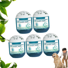 Indoor Dust Collector No Power Required Plant For Passive-5pcs