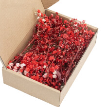 Eternal Gypsophila Stems Pack Of 50 No Maintenance Flower For-3