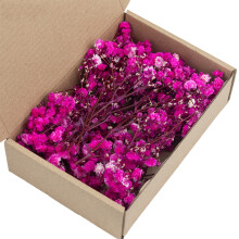 Dried Gypsophila Bunch Everlasting Floral Stems For Vase-8