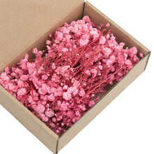Set Of 50 Dried Gypsophila Bunch Everlasting Floral Stems For-4