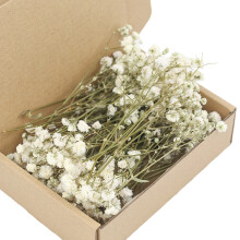 Natural Looking Preserved Gypsophila Flower For Bouquets And-1