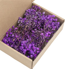 Artistic White Preserved Gypsophila Dried Flower Stems-9