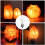 Ampoules à incandescence HIBIBUD15W E12 (lot de 6) 3