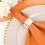 BalsaCircle5Pieces20" Polyester-Stoffservietten Orange 8