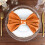 BalsaCircle5Pieces20" Polyester-Stoffservietten Orange 5