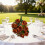 Centre de table de fleurs artificielles marron 6