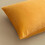 Ensemble de 2 housses de coussin en velours 20x20 pouces 6