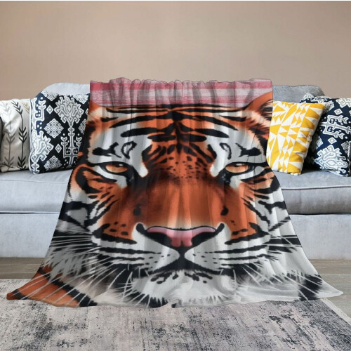 Couverture d'hiver réversible en velours de style coréen, 4 kg 1