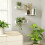 Floating Shelves Wall Mounted, Solid Wood Wall Shelves, White 4