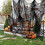 Tissu gaze Halloween, 2,15 m de large 4