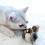 Chirping Bird Cat Toy Touch-Activated Feather Teaser 4