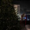 Christmas Courtyard Decorative Lights - Dazzling Firecracker Cluster Design, Invisible Green Wire, USB Powered with Remote Control 8