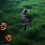 Πάσσαλος Black Crow 11,8" για εξωτερικό κήπο, αυλή, Halloween και χριστουγεννιάτικο δέντρο – 7