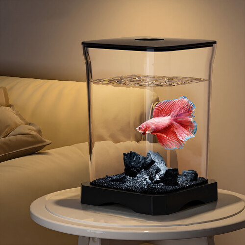 ACDANC Betta-akvarium med filter och ljus, 2 st. 1