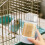 Automatic Bird Water Dispenser 415ml for Parrots and Small 5