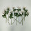 Black Artificial Roses – 12 pcs, 10 cm diameter 3