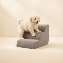 EDX 3-Step 13'' Tall Dog Stairs, Rounded-Corner Design, Non-Slip Foam Core, Easy Clean, Indoor & Outdoor Use for High Beds & Sofas
