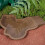 Eespoir Extra Large Reptile Bathing Pool with Steps – Compatible with Turtle, Tortoise, Gecko, Snake 7
