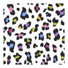 Envy Big Cat Wallpaper | Confetti