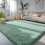 Sage Green Fluffy Rug 4x6 Ft Machine Washable Non-Slip 5