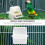 Cupán Beathúcháin Éan Trédhearcach L-chruthach do Chliabhán Parrot 3