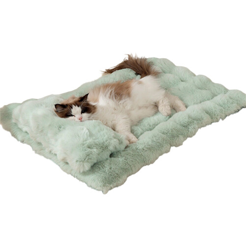 Literie confortable pour animaux de-S Vert et Oreiller