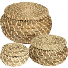 Baskets with Lid Set of 3, Handwoven Seagrass Storage Bins Box Rectangular Seagrass Basket Storage Organizer Wicker Basket for Shelf