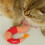 Plush Seafood Shape Cats Teaser Stimulates Hunting  Through Play 3