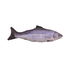 Kreativ fiskeformet kastepute til soverom, plysj, kosedyr, hjemmedekor, bursdagsgaver, 20 cm (ørret)