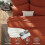 Terracotta Comforter Set Queen 7-Piece Burnt Orange 2
