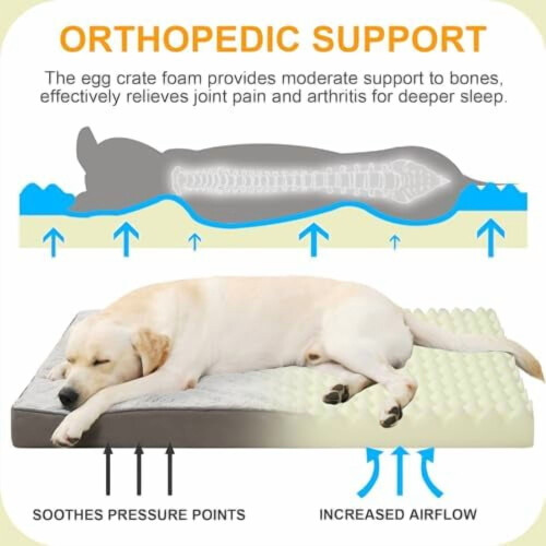 Cama ortopédica para cães de até 22,7 kg (35 x 22 polegadas) 1