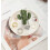 Ceramic ring holder with aloe and cactus design 1 piece 3
