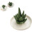 Ceramic ring holder with aloe and cactus design 1 piece 7
