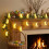Easter Bunny String Lights 10ft Battery LED Indoor Outdoor 2