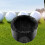 Golfboldvaskerenserpose Professionelt tilbehør Kompakt letvægts golf 7