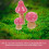 Feengartenpilze, rosa, 3 Stück 3