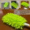 Reusable Duster Refill Compatible with Hand Duster – 360 Heavy Duty Microfiber Ceiling Fan Duster for Extended Handle 5