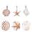 Creative ocean style conch shell home curtain shower curtain hook 12pcs single hook white 1