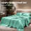 Σετ σεντόνια 4 τεμαχίων από σατέν king size – Aqua Silky Deep Pocket, Luxury Silk-Feel (1 επίπεδο, 1 4