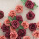 25 rosas artificiais em degradê rosa com hastes. 4