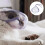 Cat Adjustable Kitten Breathable Anti Bite Muzzles Prevent from Cats Biting M 7