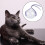 Cat Adjustable Kitten Breathable Anti Bite Muzzles Prevent from Cats Biting M 4