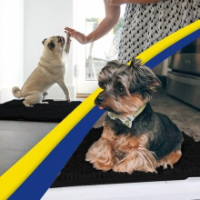 Superabsorberende mikrofibermåtte til hunde, skridsikker og vaskbar, hurtigttørrende chenille-entrémåtte, kompatibel med indendørs/udendørs