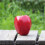 Mele rosse artificiali per decorazione domestica, 12 pezzi 5
