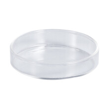 Aquarium Shrimp Feeding Dish Glass Fish Clear Tank Bowl Freshwater Tray Feeder