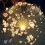 Glasfaserlampe mit Herzeffekt und einstellbarer Farbe 2
