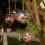 Clear Acrylic Ornaments Fillable 10-Pack 8