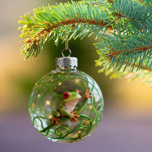 Frosch-Weihnachtsbaumschmuck – 3D-Kristallkugel mit Weihnachtsmann