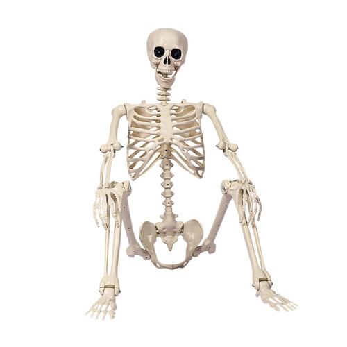 Halloween csontváz dekoráció – életnagyságú, beállítható 1